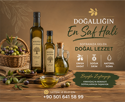 Bozoğlu Zeytinyağı